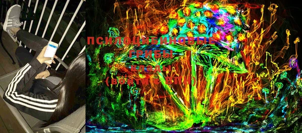марки lsd Абаза