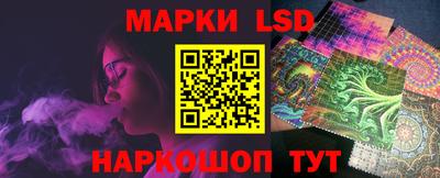 МДПВ Бердск