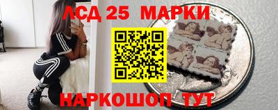 МДПВ Бердск