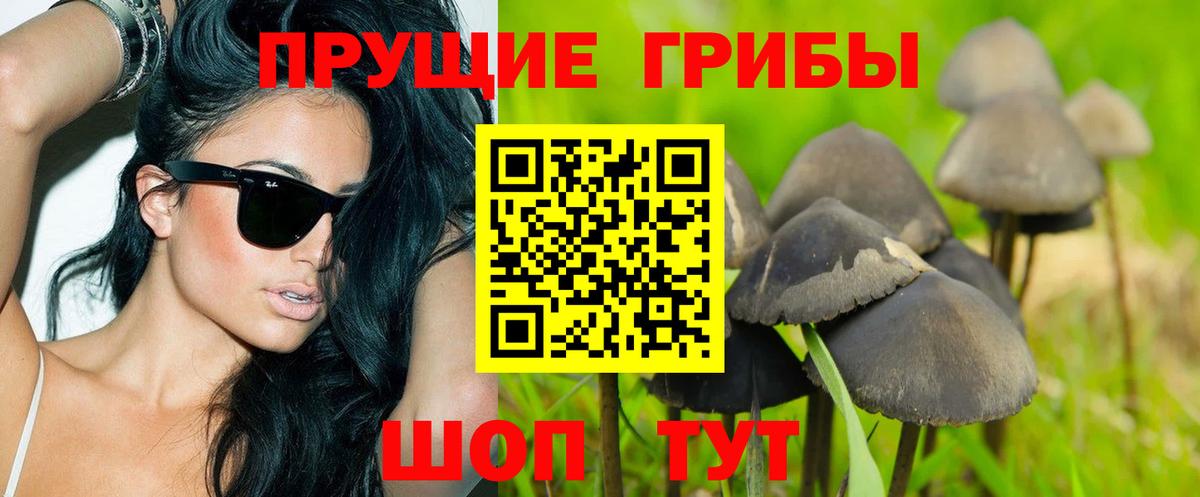 Псилоцибиновые грибы мицелий Богородицк