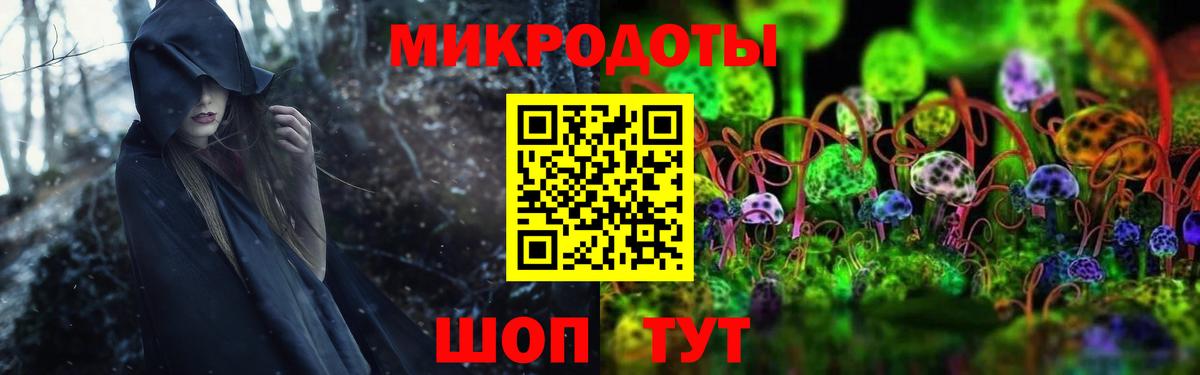 Богородицк  Галлюциногенные грибы Psilocybe  Вход с VPN 